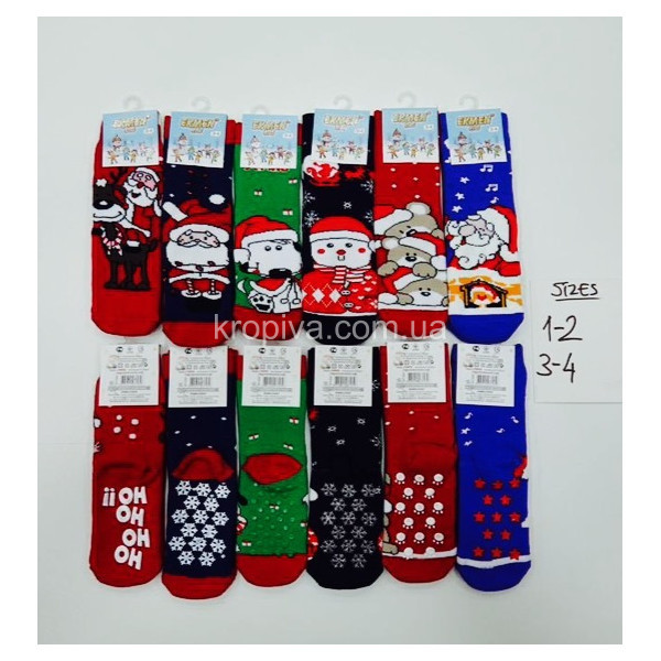 Дитячі шкарпетки махрові з гальмами 1-4 роки Туреччина оптом 101222-621 (101222-921)