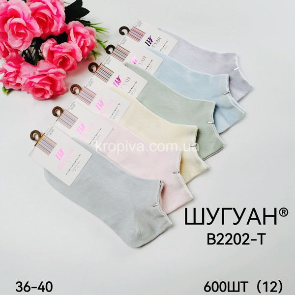 Жіночі шкарпетки хб оптом 230324-708