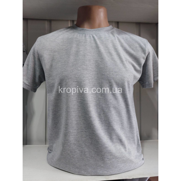 Чоловічі футболки норма Туреччина VIPSTAR оптом 040524-733