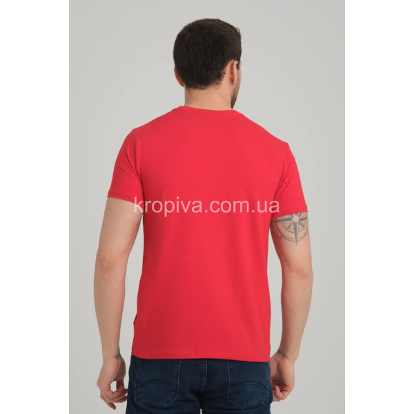Чоловічі футболки Туреччина норма оптом 030524-384