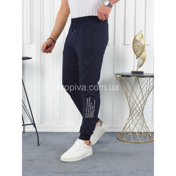 Мужские спортивные штаны норма Турция оптом  (170124-778)