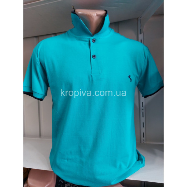 Чоловічі футболки-поло норми Туреччина ELVIS оптом 280424-680
