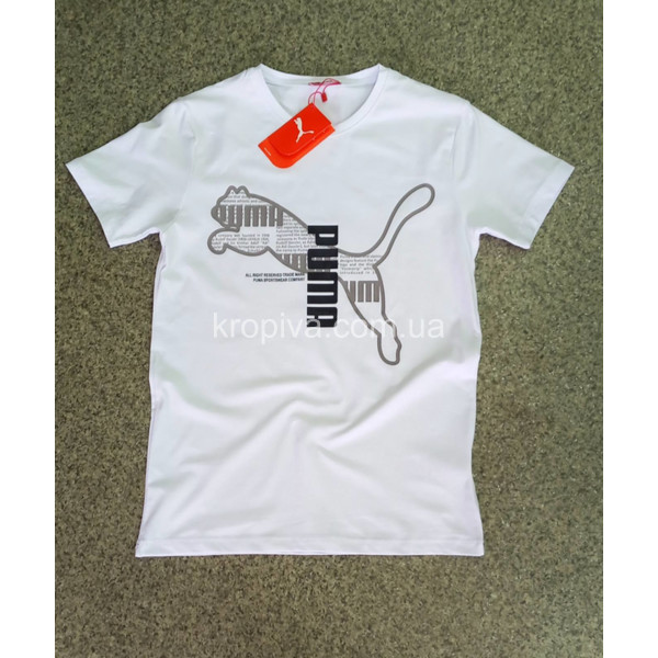 Чоловічі футболки норма Туреччина оптом 120524-694