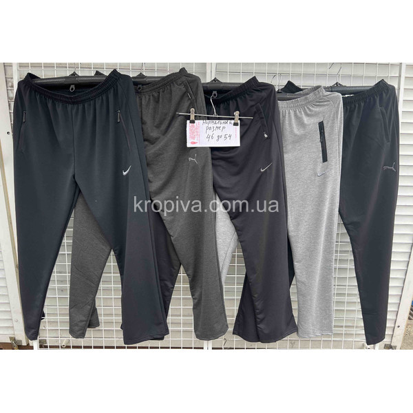 Мужские спортивные штаны норма оптом 290524-766