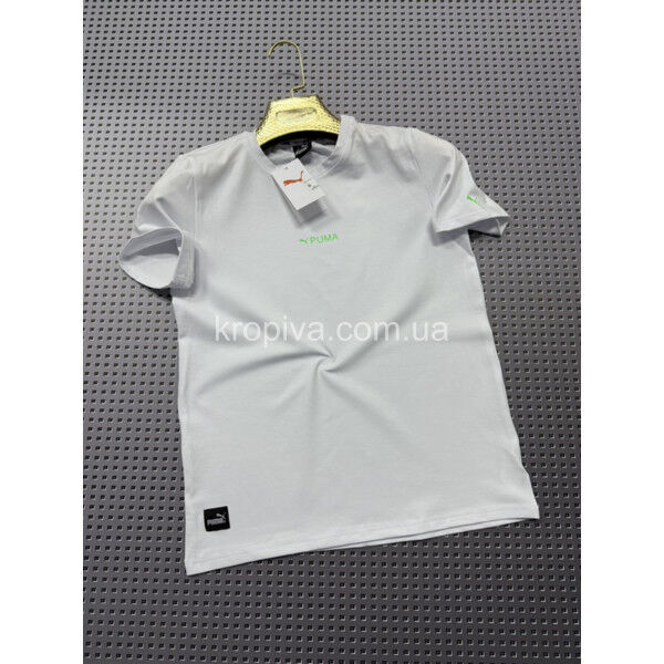 Мужская футболка норма Турция оптом 130325-631