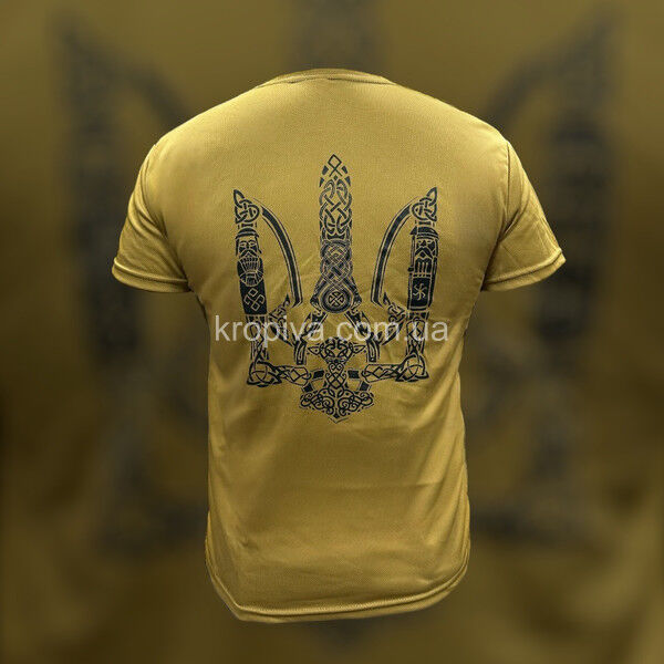 Мужская футболка Coolmax  оптом 060625-074