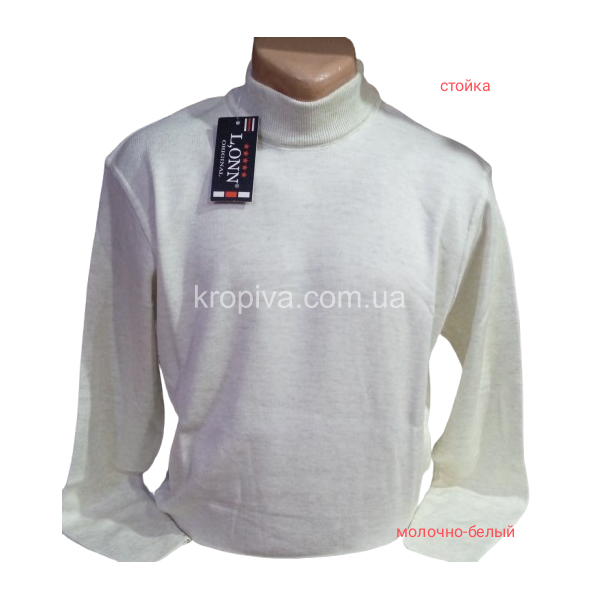 Мужской гольф норма оптом 241025-0212