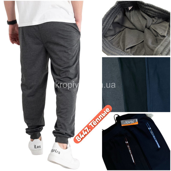Чоловічі спортивні штани норма мікс оптом 221125-732