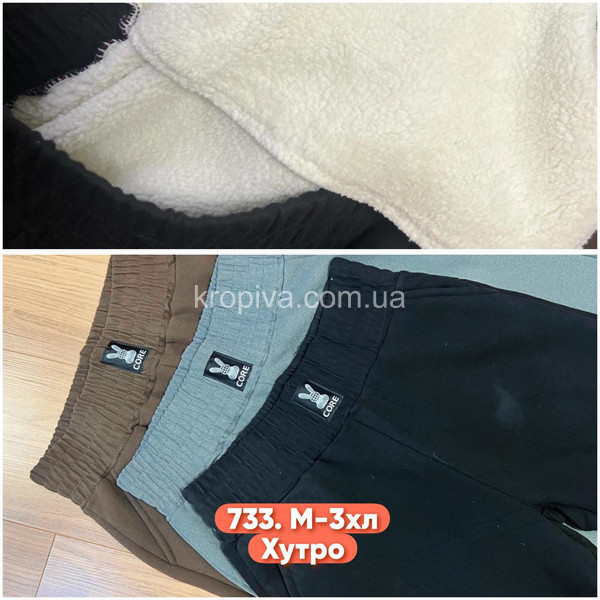 Жіночі спортивні штани на хутрі норма оптом 221125-752