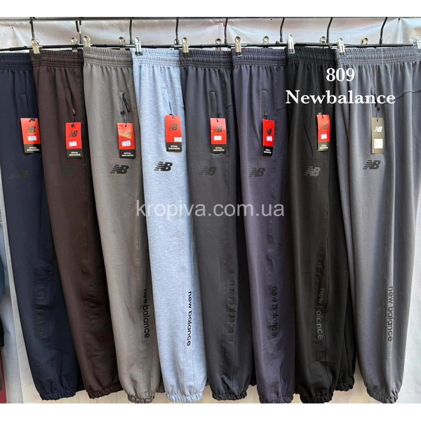 Чоловічі спортивні штани норма оптом 090226-624