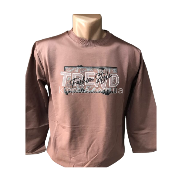 Мужской свитшот норма оптом 130226-0180