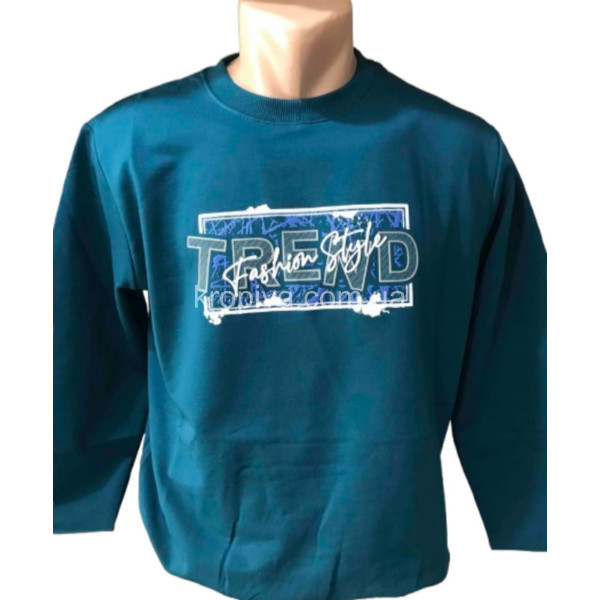 Мужской свитшот норма оптом 130226-0190