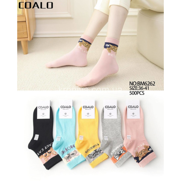 Жіночі шкарпетки оптом 010326-738