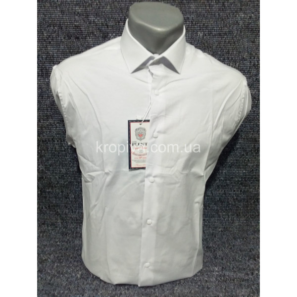 Мужская рубашка норма оптом 140121-36