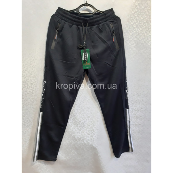 Мужские спортивные штаны 1001 норма оптом 210622-28