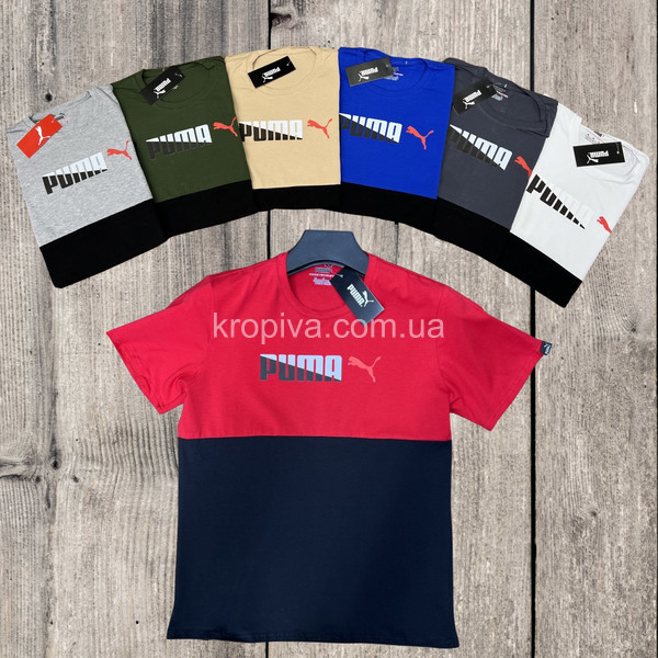 Чоловічі футболки кулір норма Туреччина оптом 030523-629