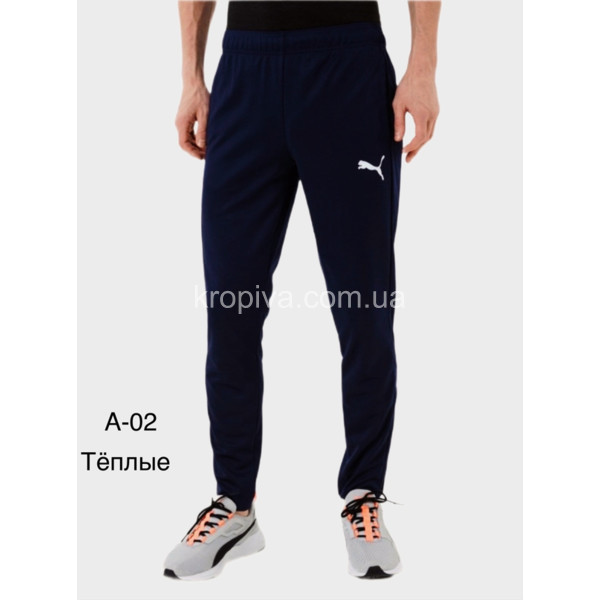 Чоловічі спортивні штани норма оптом  (150923-766)