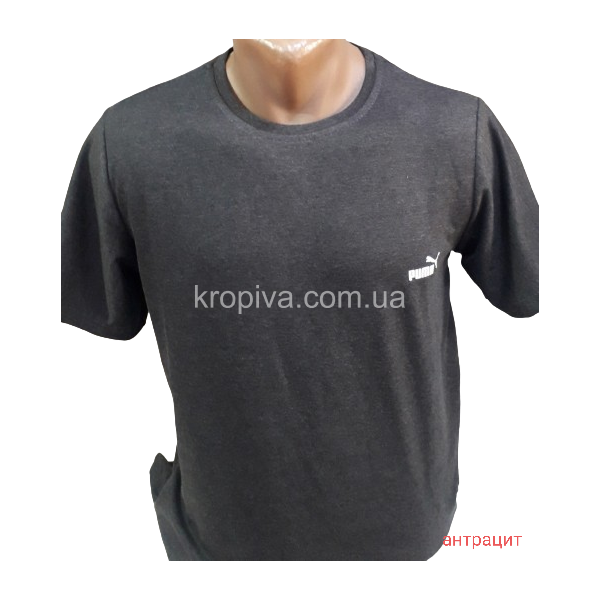 Чоловічі футболки норма оптом  (090224-0112)