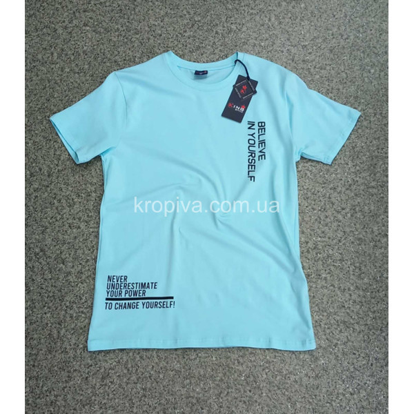 Чоловічі футболки норма Туреччина оптом 290224-774