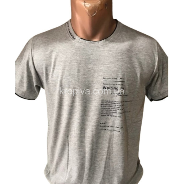 Мужская футболка норма оптом  (050324-018)