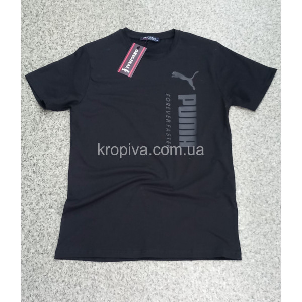 Чоловічі футболки норма Туреччина оптом 060324-732