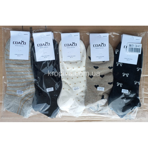 Жіночі шкарпетки хб оптом 200324-695