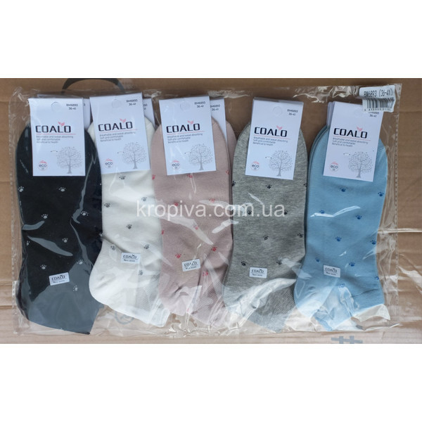 Жіночі шкарпетки хб оптом 200324-705