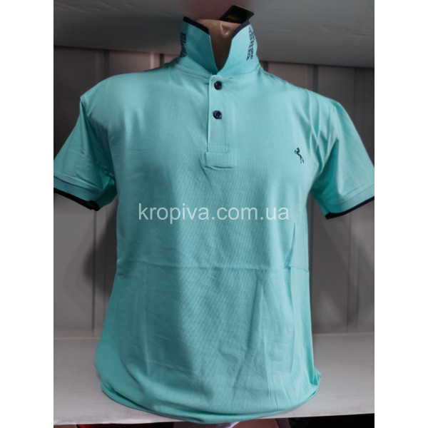 Чоловічі футболки-поло норма Туреччина ELVIS оптом  (010424-792)