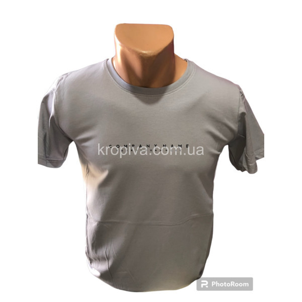Мужская футболка норма оптом  (070424-055)