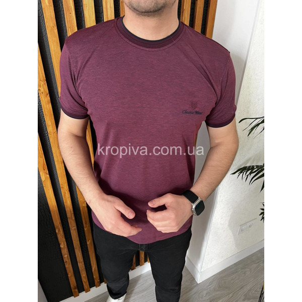 Чоловічі футболки норма Туреччина оптом 220424-629