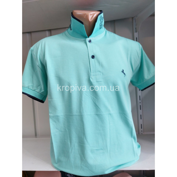 Чоловічі футболки-поло норми Туреччина ELVIS оптом  (280424-681)