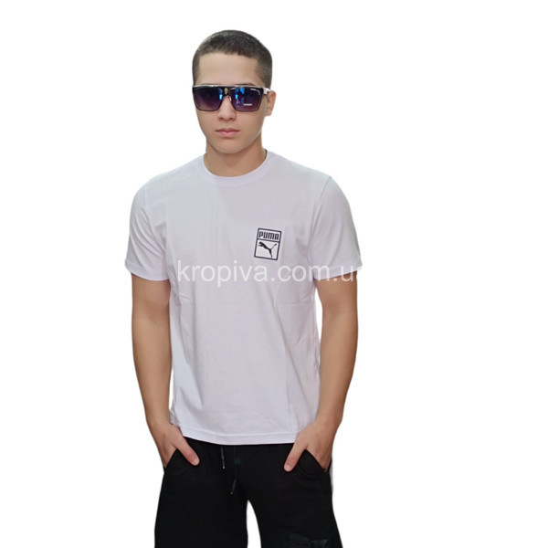 Чоловічі футболки Туреччина норма оптом 030524-147
