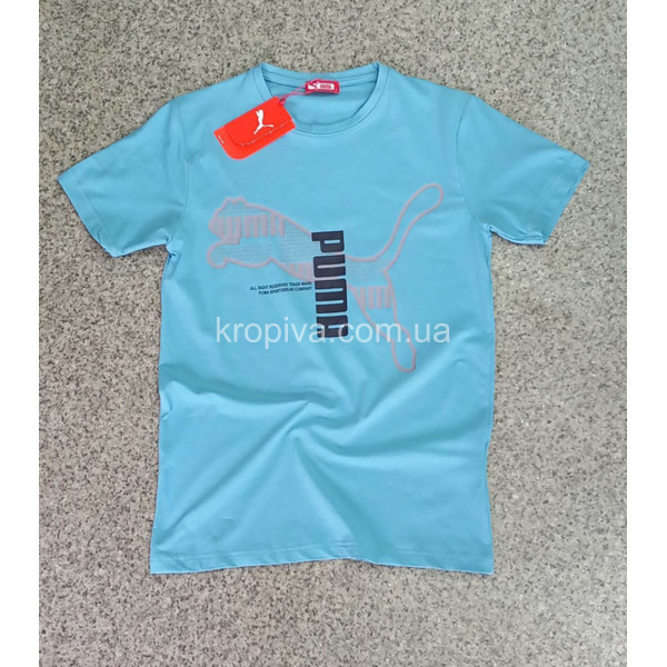 Чоловічі футболки норма Туреччина оптом 120524-695