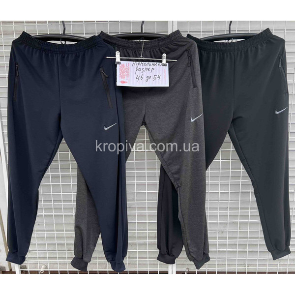 Чоловічі спортивні штани норма оптом 290524-767