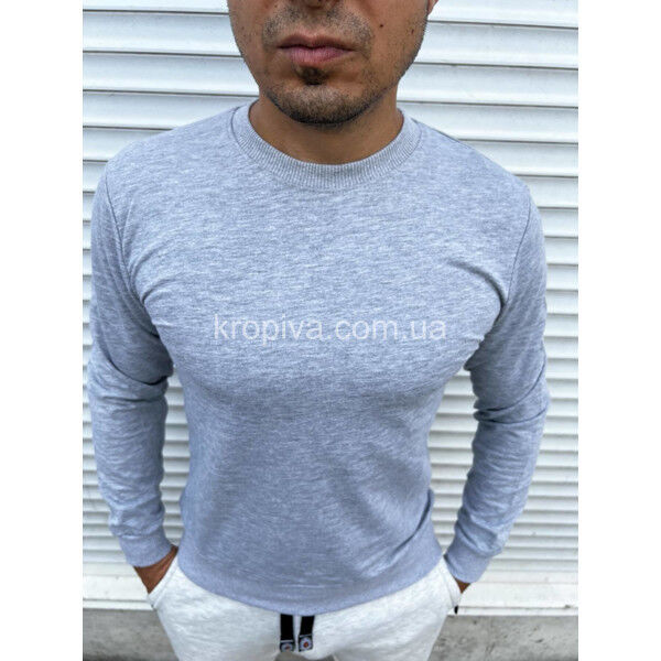Мужской свитшот норма оптом 041024-746