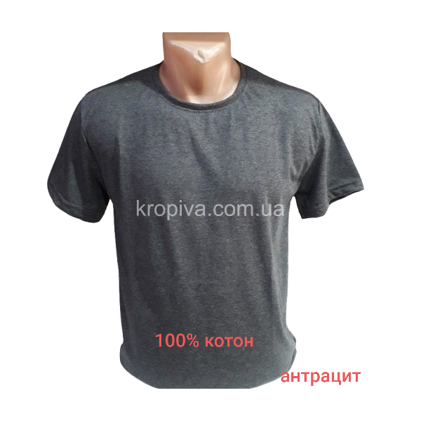 Футболка чоловіча оптом 240725-049