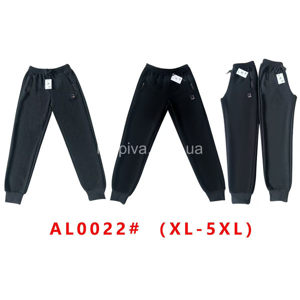 Мужские штаны  оптом 100925-94