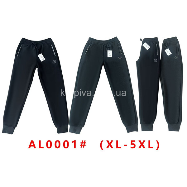 Мужские спортивные штаны норма оптом 021025-727