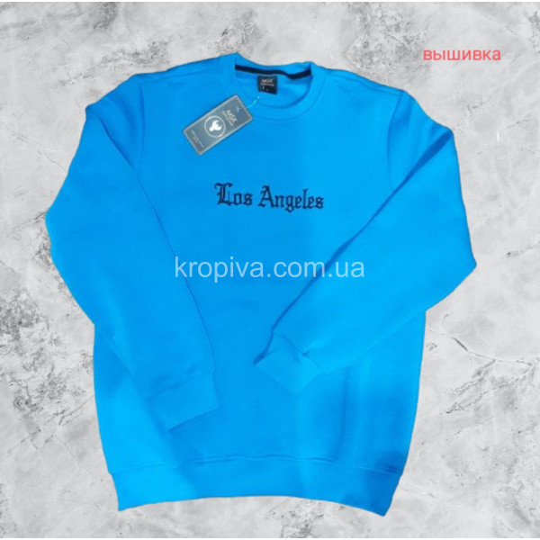 Чоловічий світшот норма оптом 071225-082