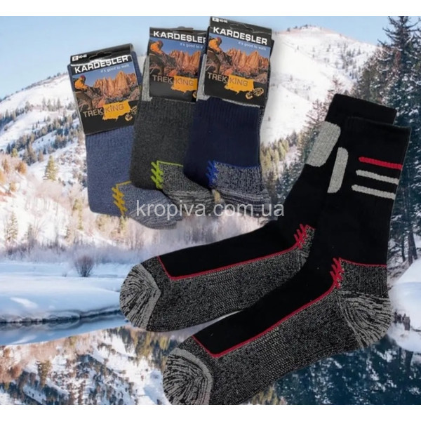 Чоловічі шкарпетки термо Туреччина оптом 120126-794