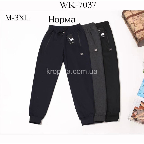 Мужские тонкие штаны  оптом 040226-34