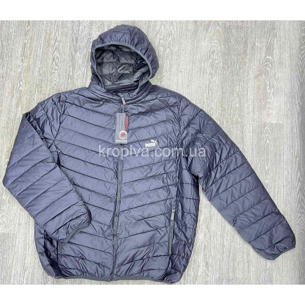 Чоловіча куртка F02 демісезон оптом 230226-660