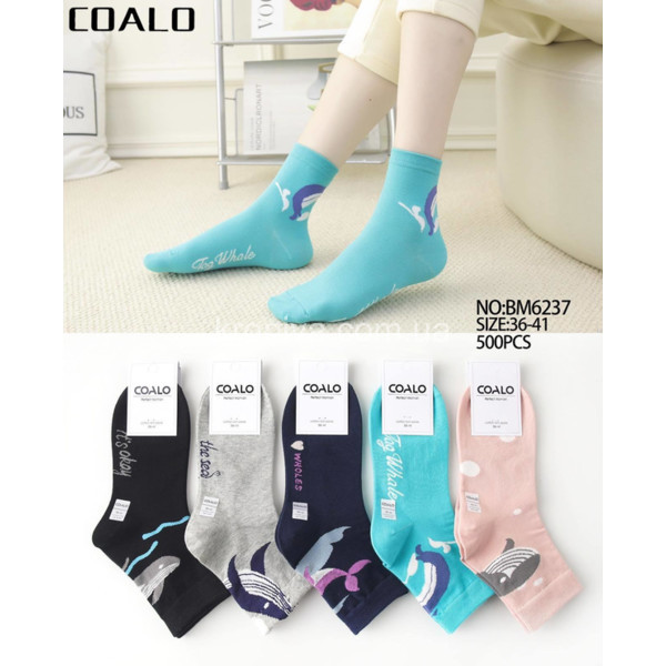 Жіночі шкарпетки оптом 010326-739