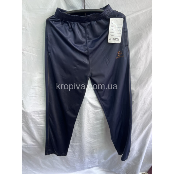 Чоловічі спортивні штани 0361 норма оптом  (031123-271)