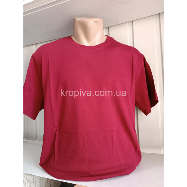 Чоловічі футболки Батал Туреччина Vipstar оптом 110224-659