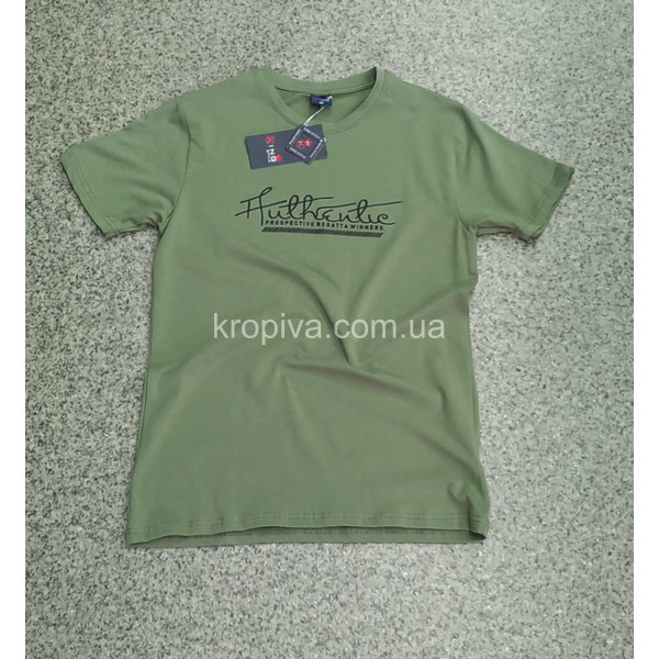 Чоловічі футболки норма Туреччина оптом 290224-745