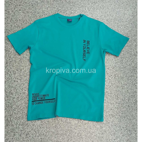 Чоловічі футболки норма Туреччина оптом 290224-775