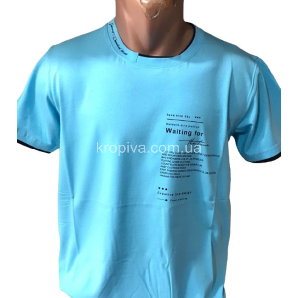 Мужская футболка норма оптом  (050324-019)