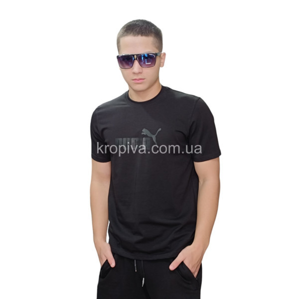 Чоловічі футболки Туреччина норма оптом 030524-158