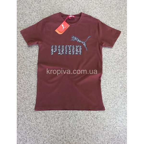 Чоловічі футболки норма Туреччина оптом 120524-666